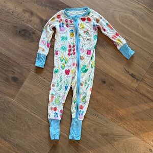 Little sleepies farmers market zippie